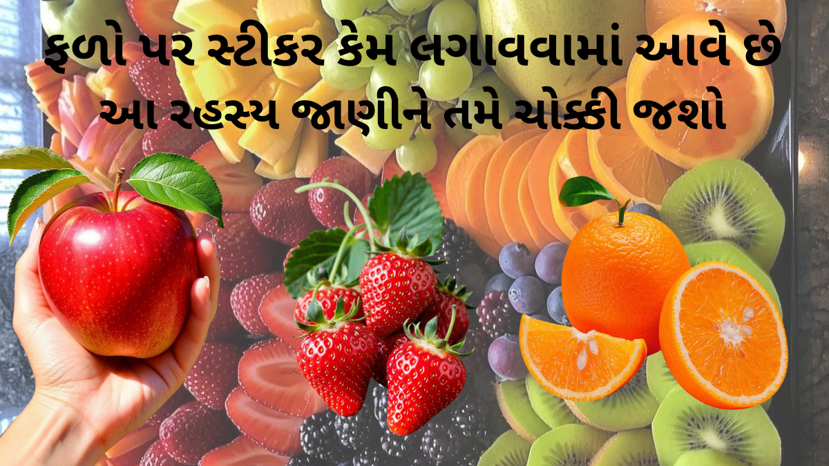 fruit sticker meaning