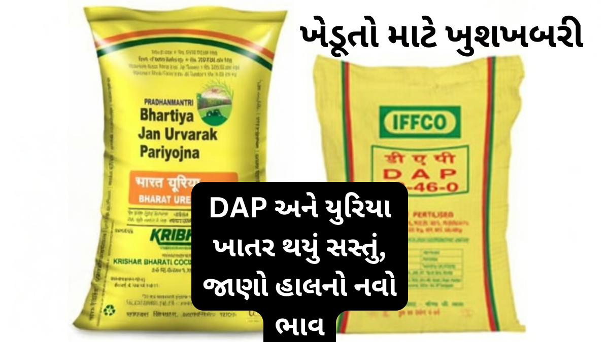 DAP Urea latest price